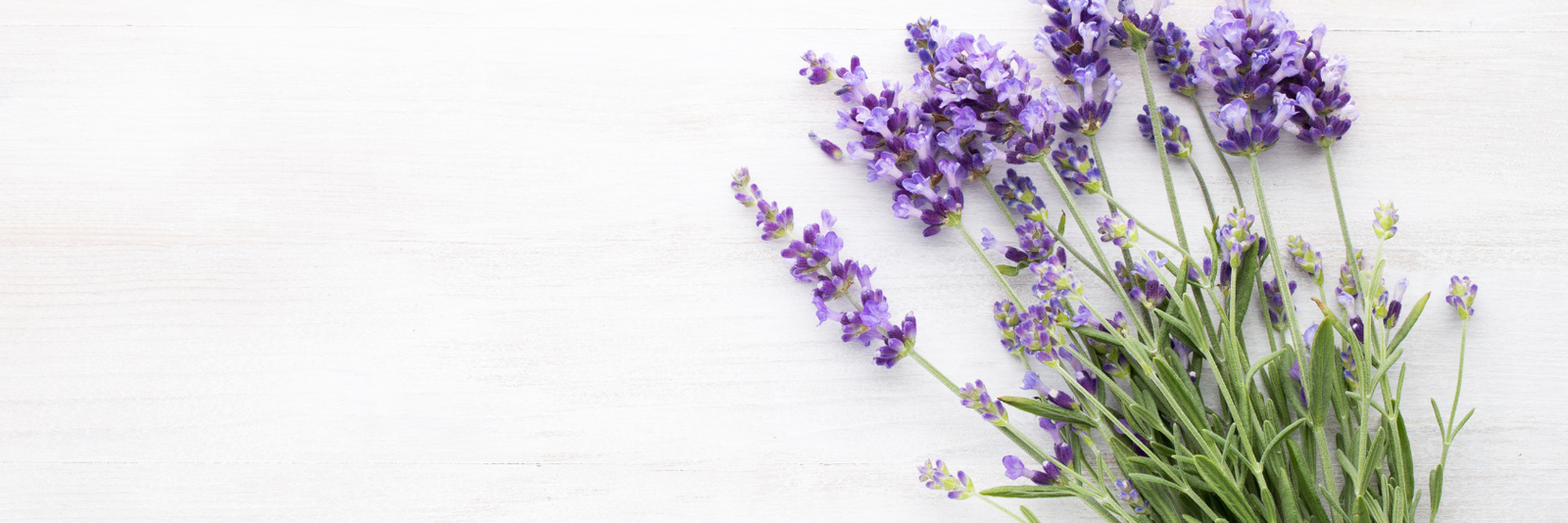 Hero image of Anette Kjærgaard